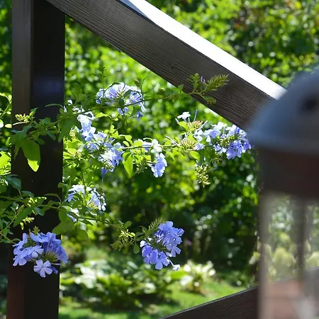 Villa Lesna 6 - House With A Garden Bolechowice Exterior foto