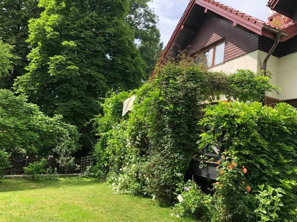 Ferienhaus House With A Garden