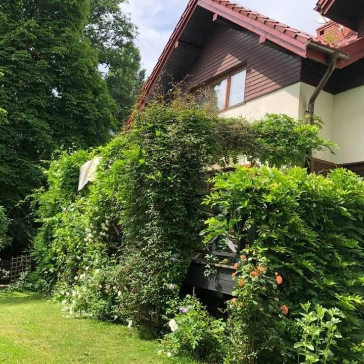 House With A Garden *