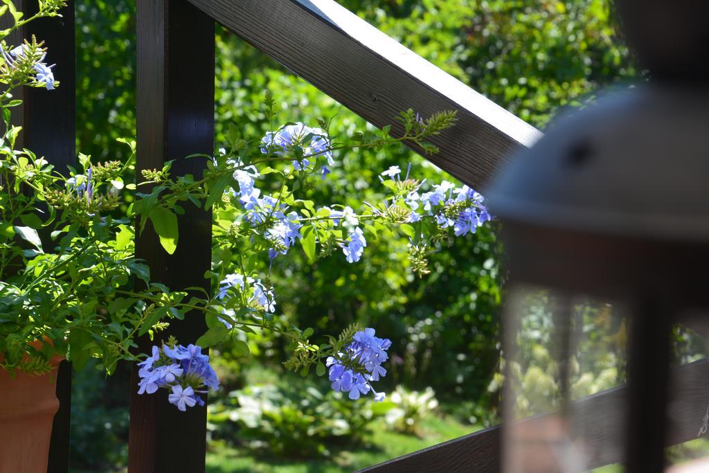 House With A Garden * Bolechowice